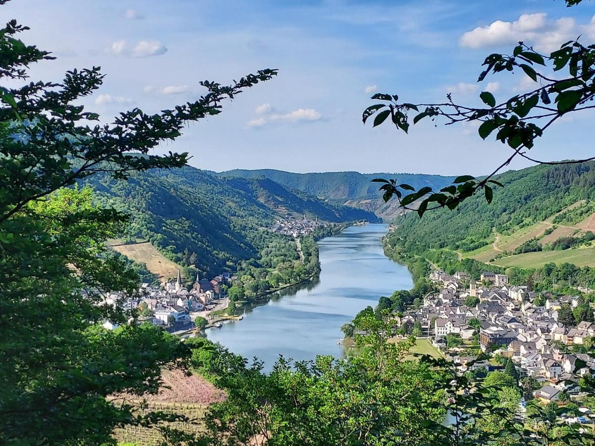 Ferienhaus Prinzenkopf Alf Buitenkant foto