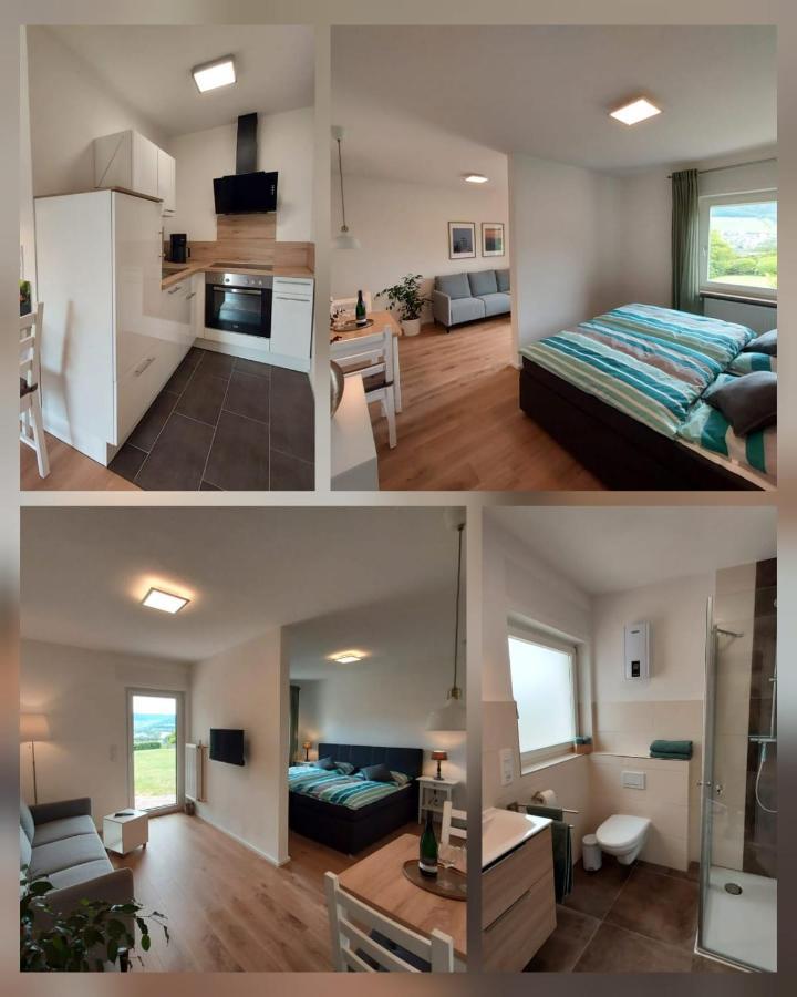 Ferienhaus Prinzenkopf Alf Buitenkant foto